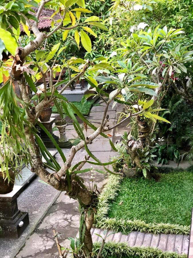 The Hidden Bali Inn Ubud Eksteriør billede