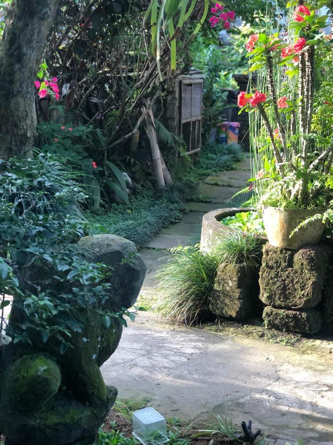 The Hidden Bali Inn Ubud Eksteriør billede