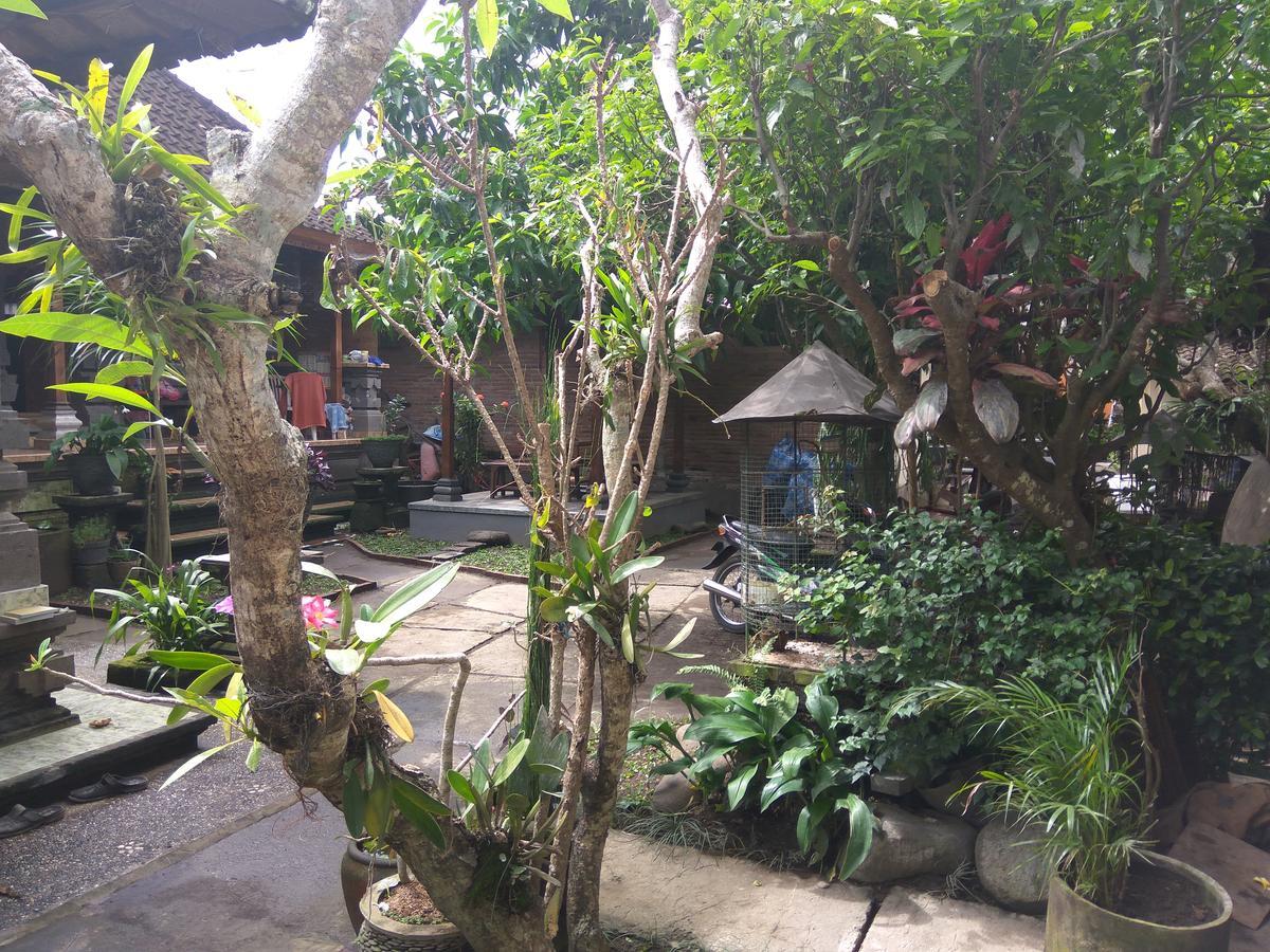 The Hidden Bali Inn Ubud Eksteriør billede